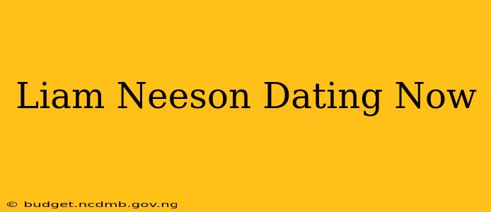 Liam Neeson Dating Now