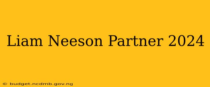 Liam Neeson Partner 2024