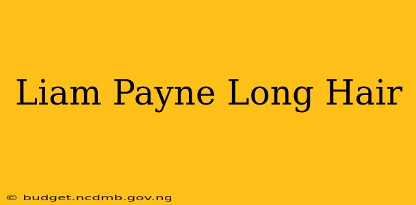 Liam Payne Long Hair