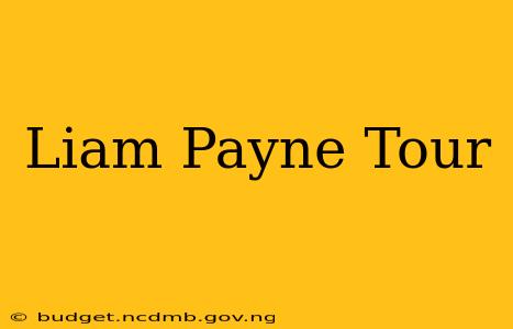 Liam Payne Tour
