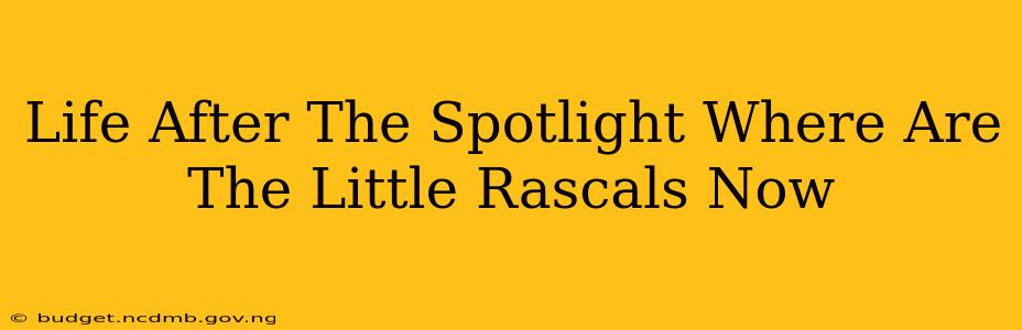 Life After The Spotlight Where Are The Little Rascals Now
