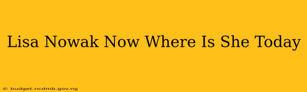 Lisa Nowak Now Where Is She Today