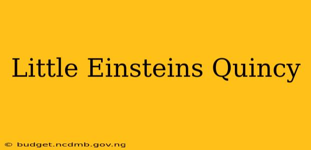 Little Einsteins Quincy