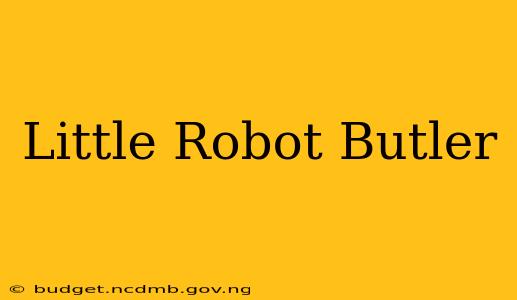 Little Robot Butler