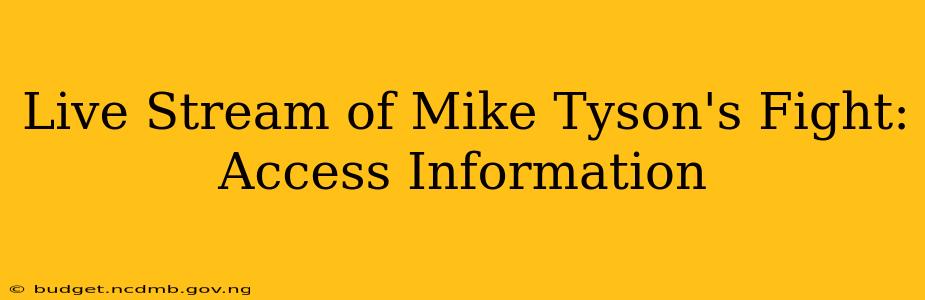 Live Stream of Mike Tyson's Fight: Access Information
