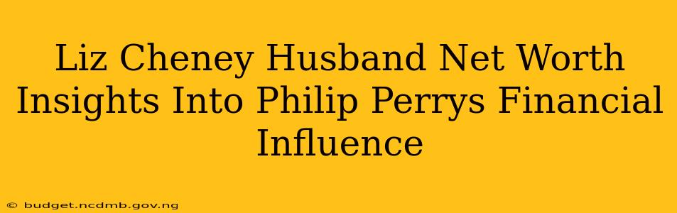 Liz Cheney Husband Net Worth Insights Into Philip Perrys Financial Influence