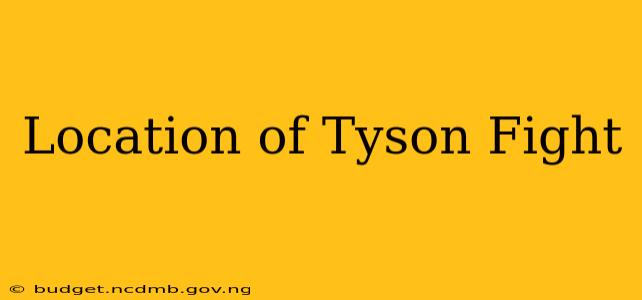 Location of Tyson Fight