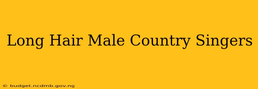 Long Hair Male Country Singers