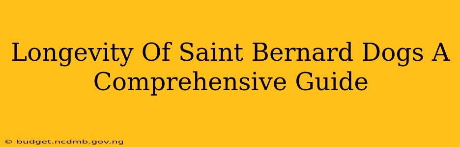 Longevity Of Saint Bernard Dogs A Comprehensive Guide