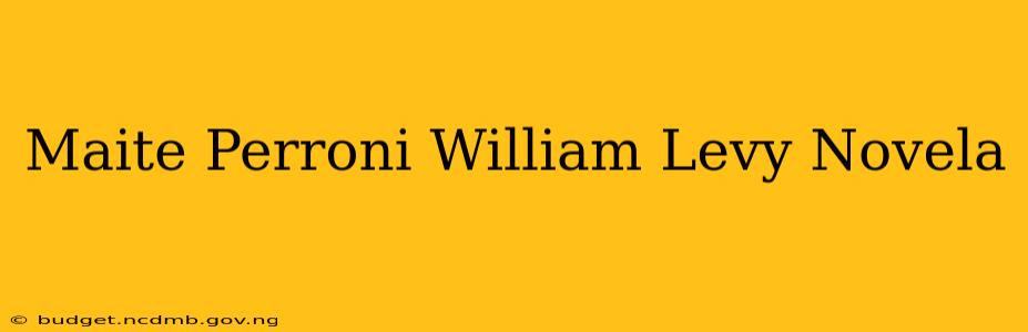 Maite Perroni William Levy Novela