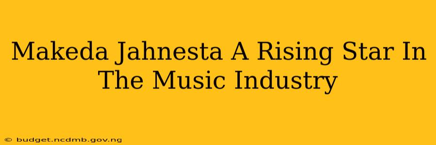 Makeda Jahnesta A Rising Star In The Music Industry