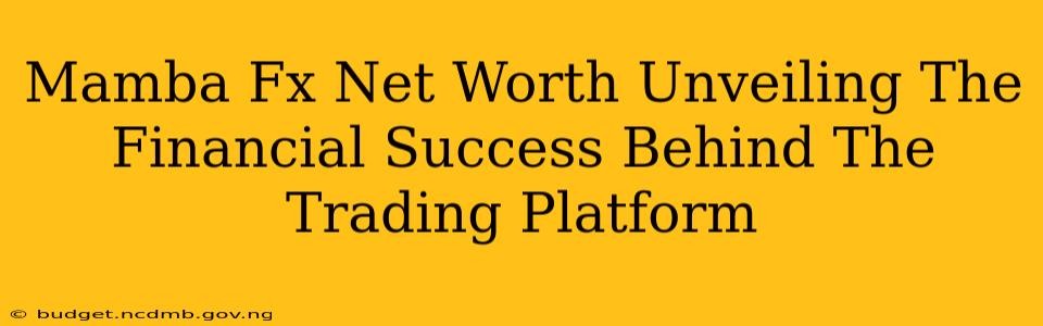 Mamba Fx Net Worth Unveiling The Financial Success Behind The Trading Platform