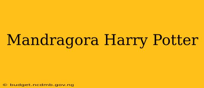 Mandragora Harry Potter