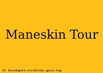 Maneskin Tour