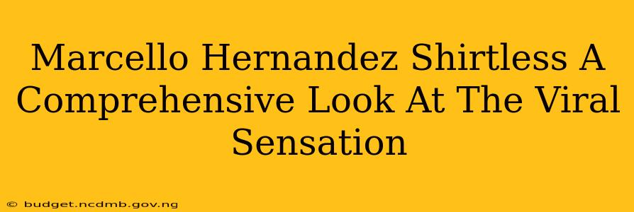 Marcello Hernandez Shirtless A Comprehensive Look At The Viral Sensation