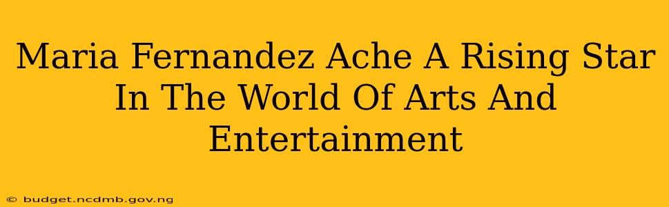 Maria Fernandez Ache A Rising Star In The World Of Arts And Entertainment