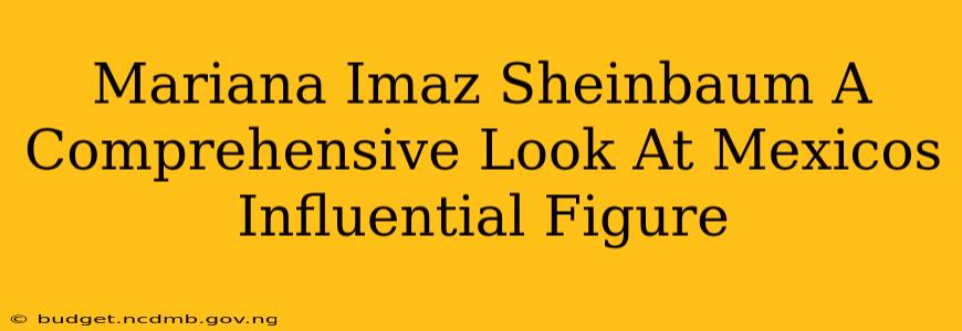 Mariana Imaz Sheinbaum A Comprehensive Look At Mexicos Influential Figure