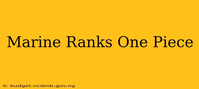 Marine Ranks One Piece