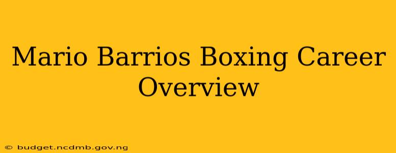 Mario Barrios Boxing Career Overview