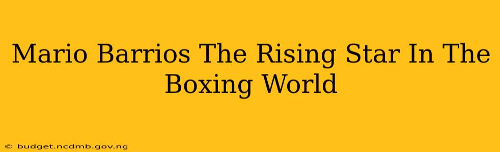 Mario Barrios The Rising Star In The Boxing World