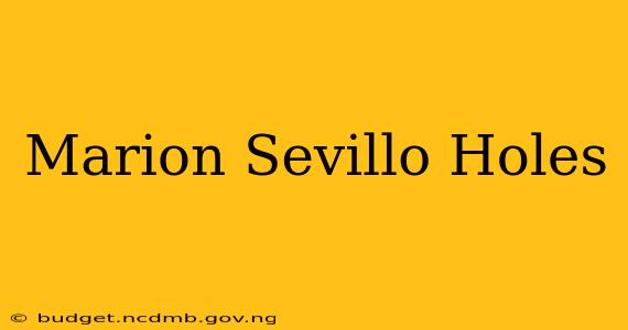 Marion Sevillo Holes