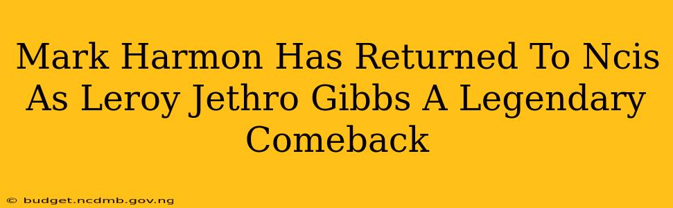 Mark Harmon Has Returned To Ncis As Leroy Jethro Gibbs A Legendary Comeback