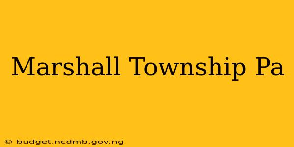 Marshall Township Pa