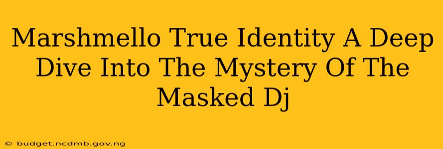 Marshmello True Identity A Deep Dive Into The Mystery Of The Masked Dj
