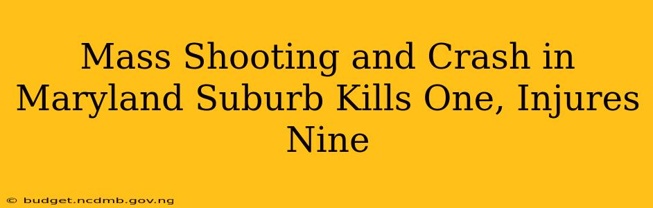 Mass Shooting and Crash in Maryland Suburb Kills One, Injures Nine