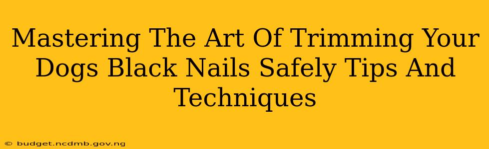 Mastering The Art Of Trimming Your Dogs Black Nails Safely Tips And Techniques
