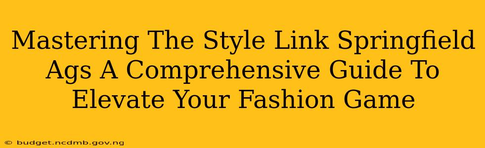 Mastering The Style Link Springfield Ags A Comprehensive Guide To Elevate Your Fashion Game