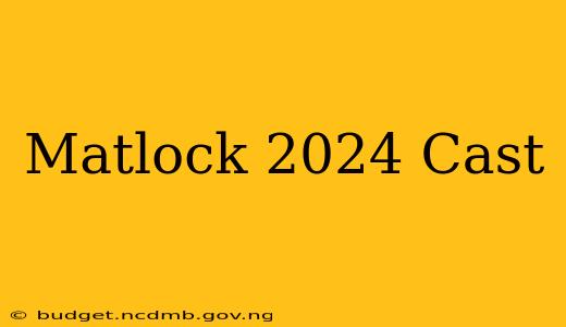 Matlock 2024 Cast