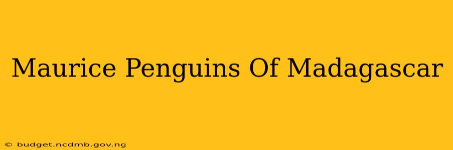 Maurice Penguins Of Madagascar