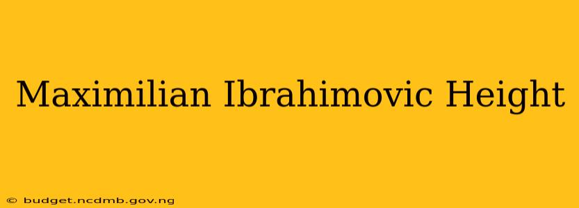 Maximilian Ibrahimovic Height
