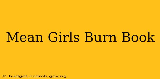Mean Girls Burn Book