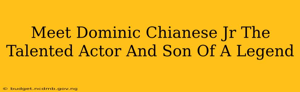 Meet Dominic Chianese Jr The Talented Actor And Son Of A Legend