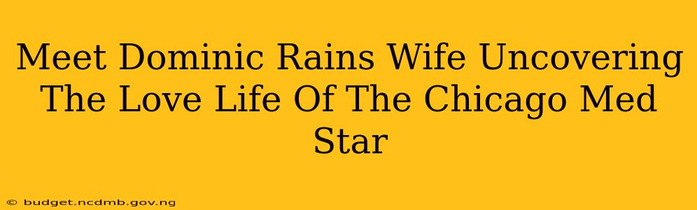 Meet Dominic Rains Wife Uncovering The Love Life Of The Chicago Med Star
