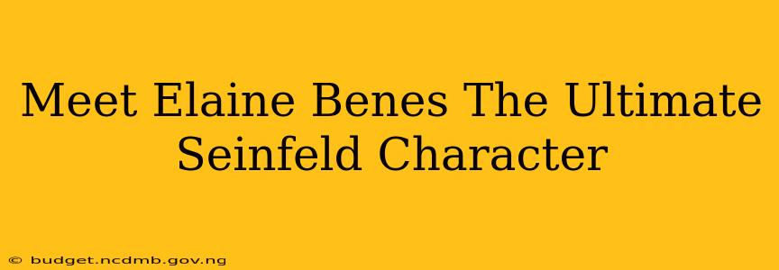 Meet Elaine Benes The Ultimate Seinfeld Character