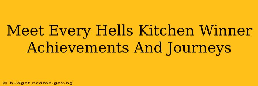 Meet Every Hells Kitchen Winner Achievements And Journeys