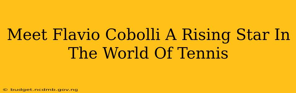 Meet Flavio Cobolli A Rising Star In The World Of Tennis