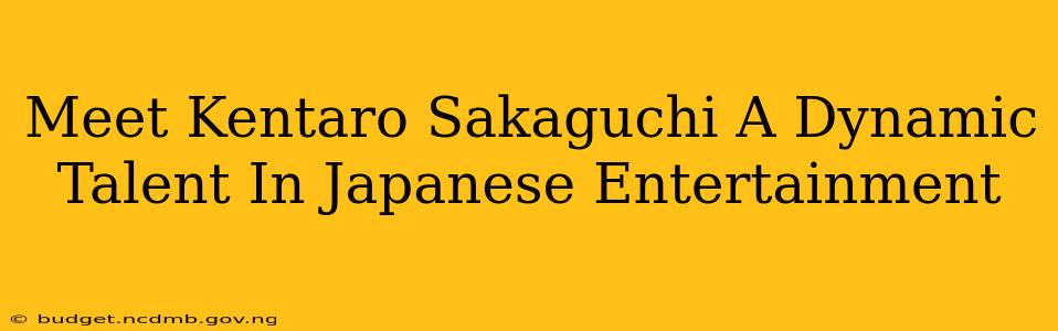 Meet Kentaro Sakaguchi A Dynamic Talent In Japanese Entertainment