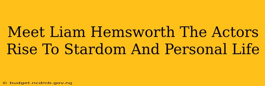 Meet Liam Hemsworth The Actors Rise To Stardom And Personal Life