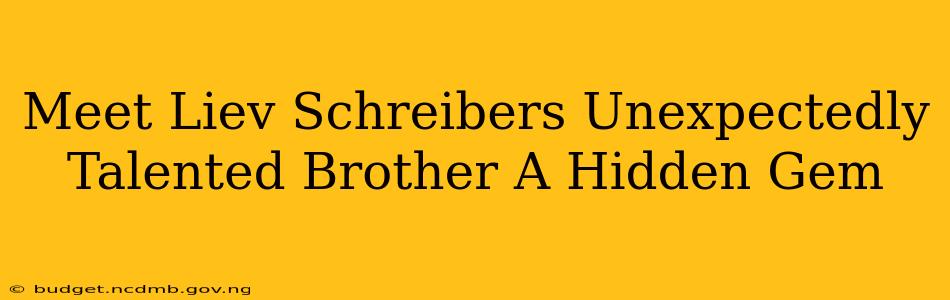 Meet Liev Schreibers Unexpectedly Talented Brother A Hidden Gem