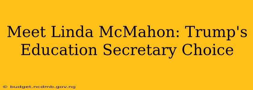 Meet Linda McMahon: Trump's Education Secretary Choice