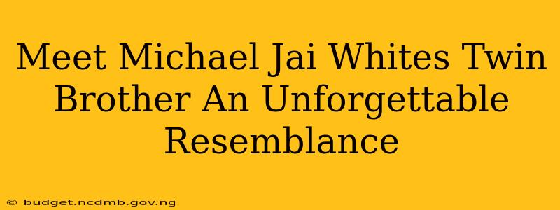 Meet Michael Jai Whites Twin Brother An Unforgettable Resemblance