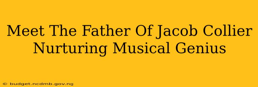 Meet The Father Of Jacob Collier Nurturing Musical Genius