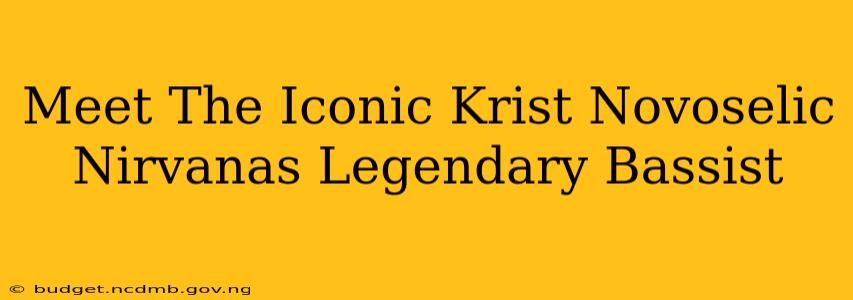 Meet The Iconic Krist Novoselic Nirvanas Legendary Bassist