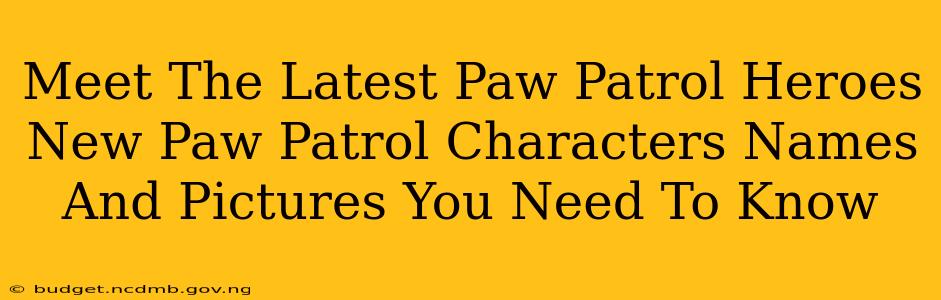 Meet The Latest Paw Patrol Heroes New Paw Patrol Characters Names And Pictures You Need To Know