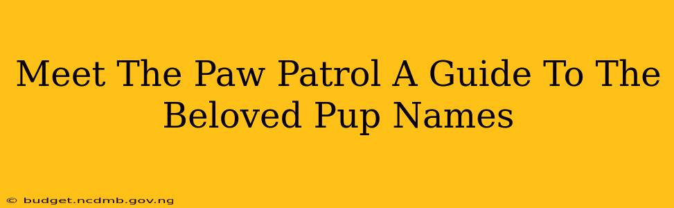 Meet The Paw Patrol A Guide To The Beloved Pup Names