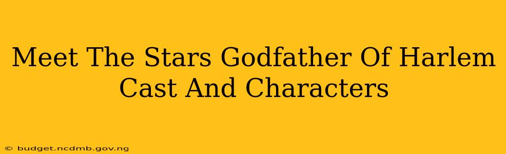 Meet The Stars Godfather Of Harlem Cast And Characters